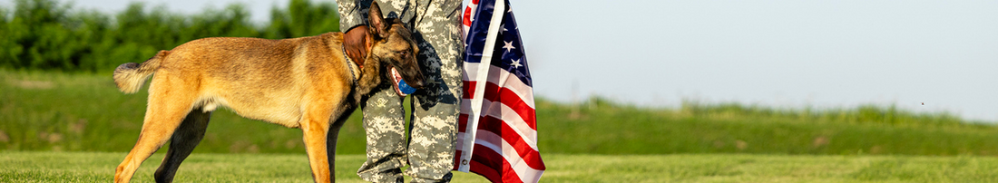 Soldier holding American flag and petting shepherd dog