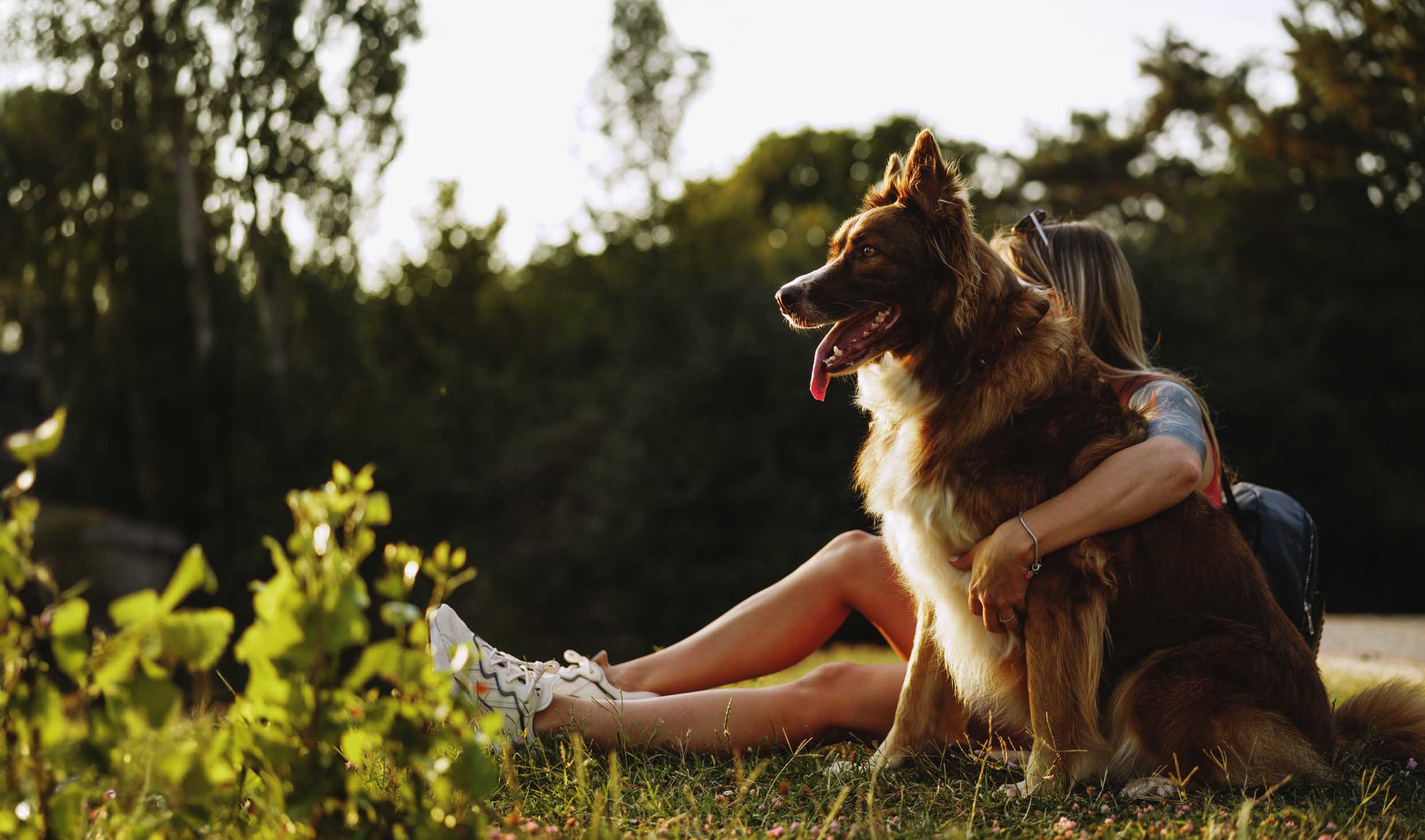 Only the Best for Your Best Friend - Try Doggy Dollars dog treats